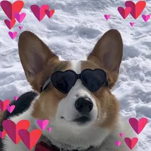 Meet your Posher, Cathy